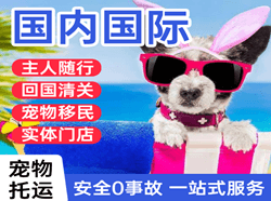 湘西边城机场快运国际宠物托运 【国